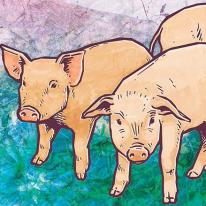 Three Little Pigs