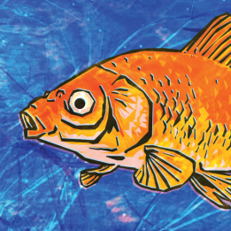 goldfish