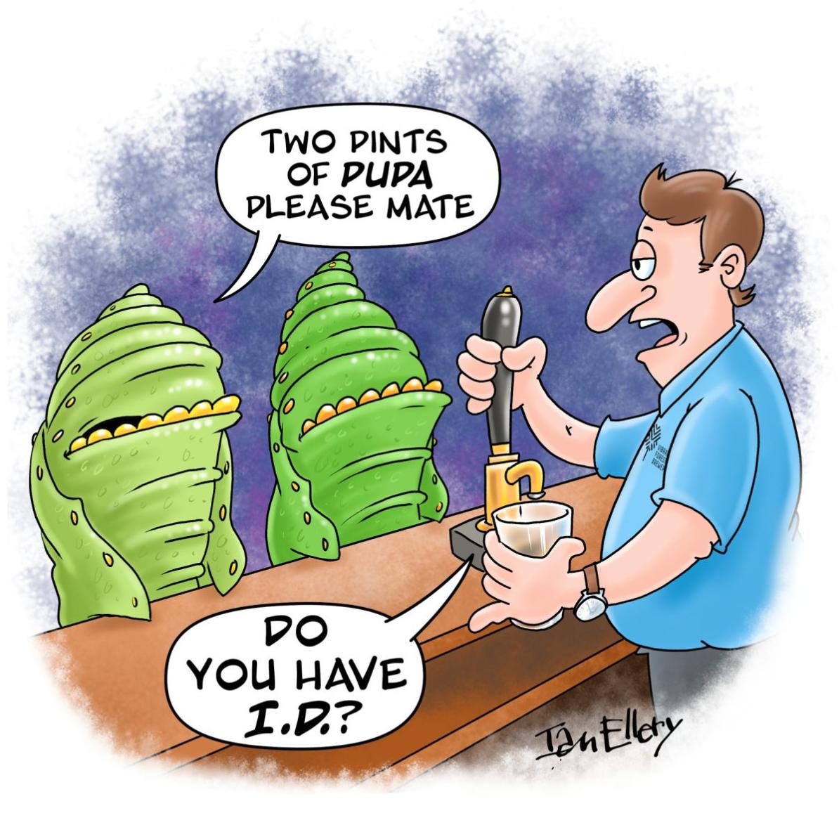 Two-pints-of-Pupa